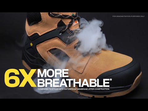 タラコbotページ Terra Cobalt Men's 6